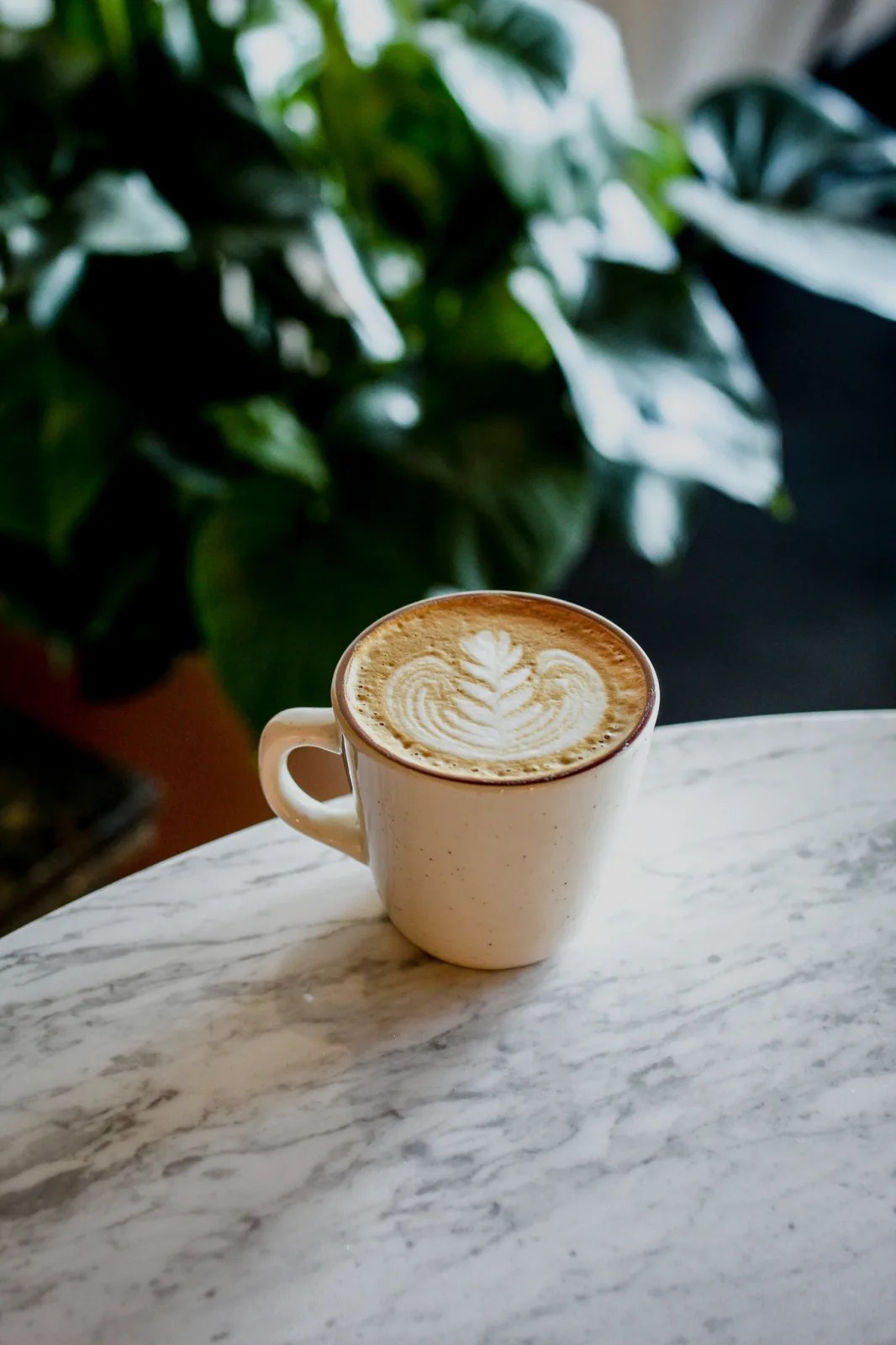 Roamer Coffee House — photo 1 of 2
